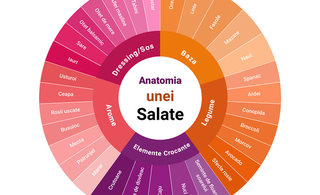 ANATOMIA UNEI SALATE
