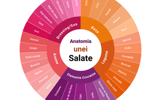 ANATOMIA UNEI SALATE