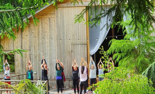 retreat yoga meditatie pilates dieta lichida