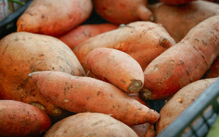 Alimentele pentru slăbit: ce funcționează cu adevărat? (Partea IV)