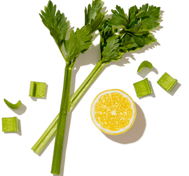 CELERY JUICE