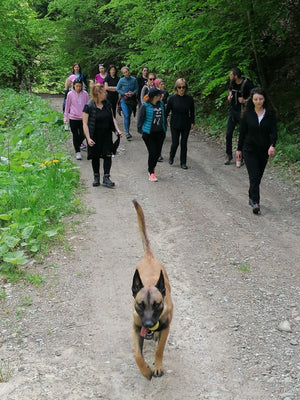 New You Retreat  Hadar Chalet 21-24 Mai